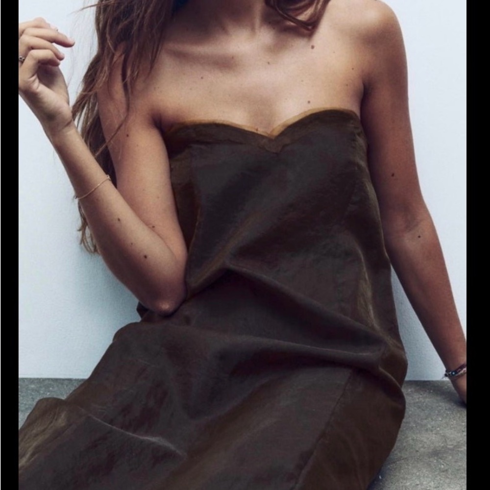 Zara NWT Zara Organza Sheath Sweatheart Neckline Sold Out! 2023